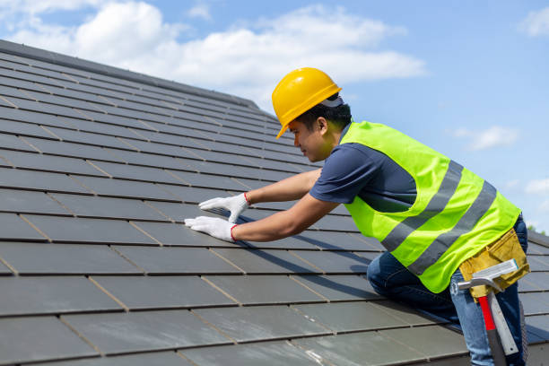 Asphalt Shingles Roofing in Meadowdale, WA