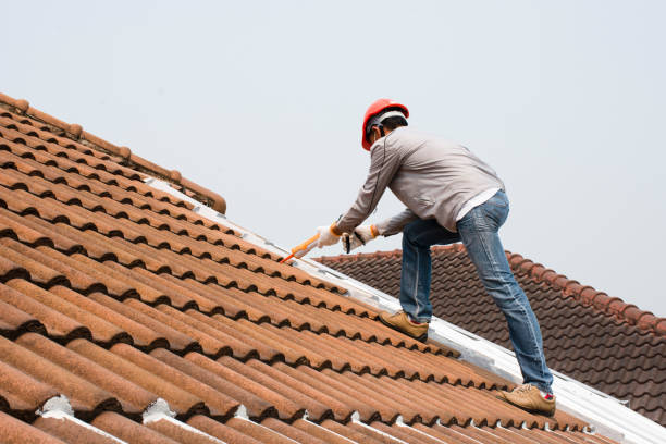 Best Gutter Installation and Repair  in Meadowdale, WA