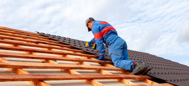 Best Asphalt Shingles Roofing  in Meadowdale, WA