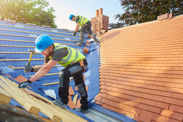 Best Green or Eco-Friendly Roofing Solutions  in Meadowdale, WA